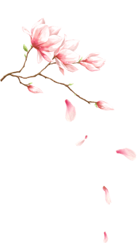 Samphire Spa & Salon